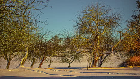 estrellas cruzando el cielo sobre un camino rural en invierno - lapso de tiempo