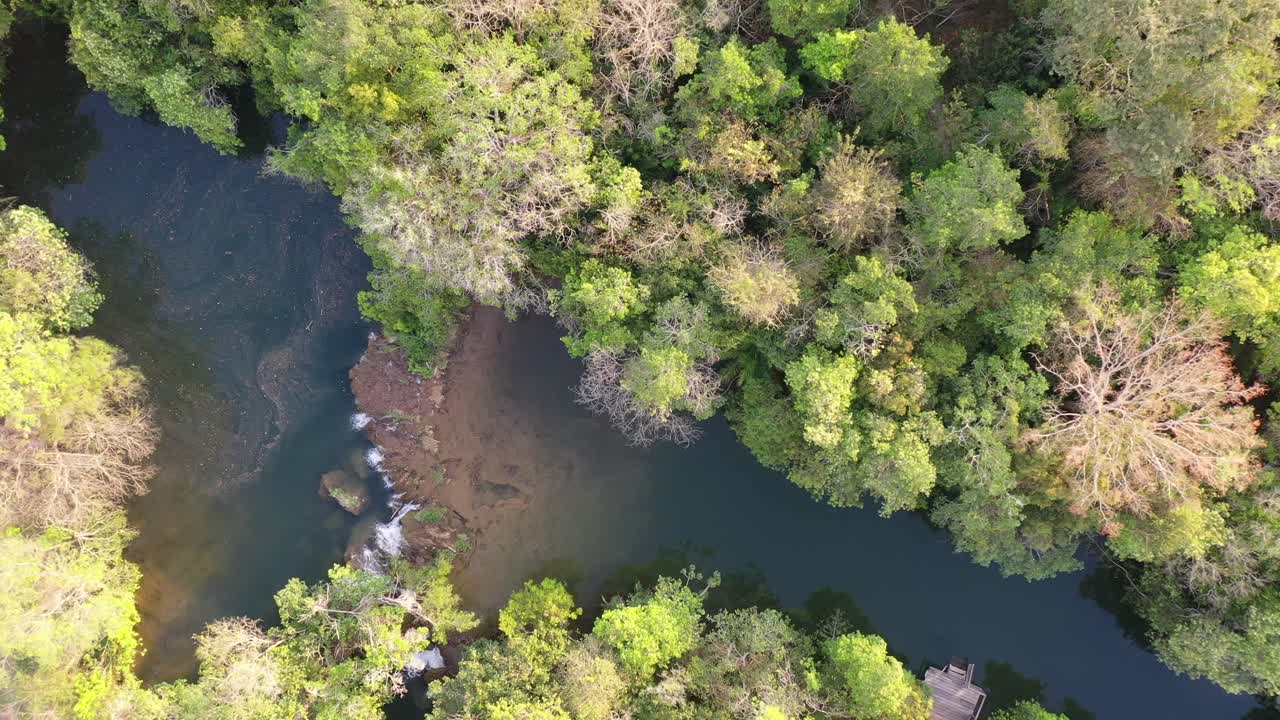 vista de drones del río mimoso rodeado de bosque ribereño preservado en una reserva de la biosfera en bonito, arbusto espeso del sur, brasil