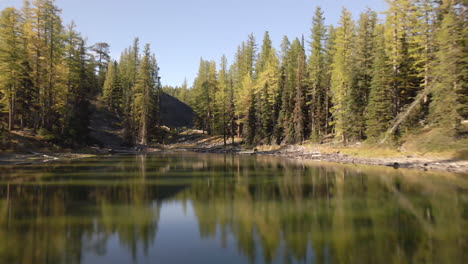 Aerial-flying-low-over-peaceful-lake-surface-towards-forest