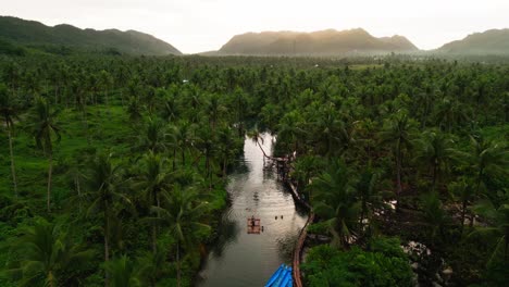 vista aérea de la carretera del bosque de palmeras de coco en la isla de siargao en filipinas