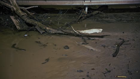 guardrail buried under flood debris with water accumulation on the street, budapest