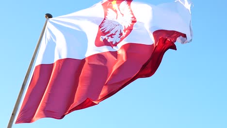 bandera de polonia