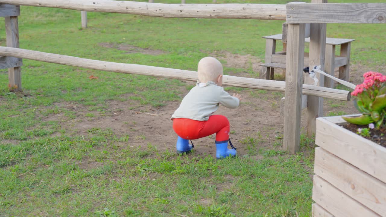 Peuterjongen lopend in landelijk landschap, rugaanzicht