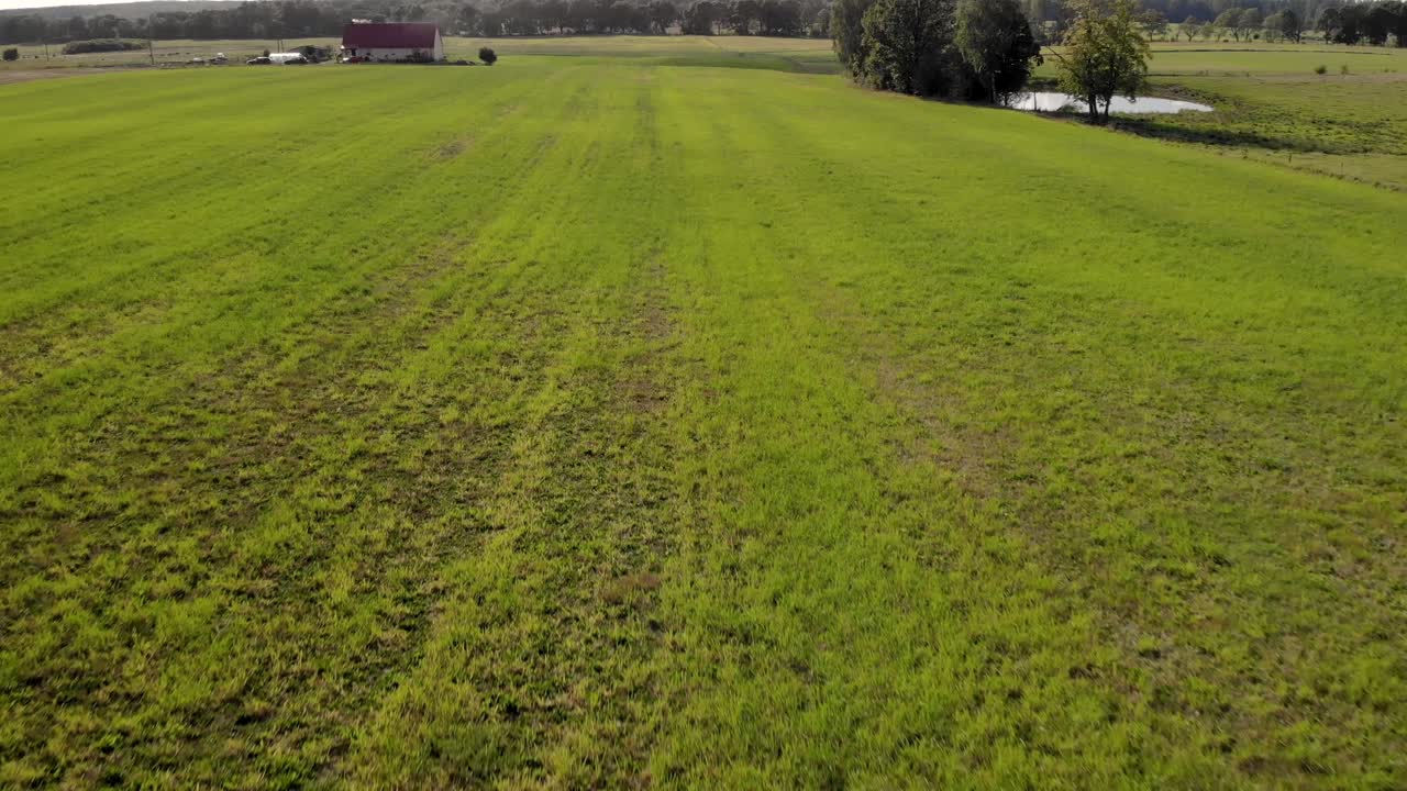 toma aérea sobre un pasto verde cerca de la casa, junto a un árbol y un pequeño estanque en el prado