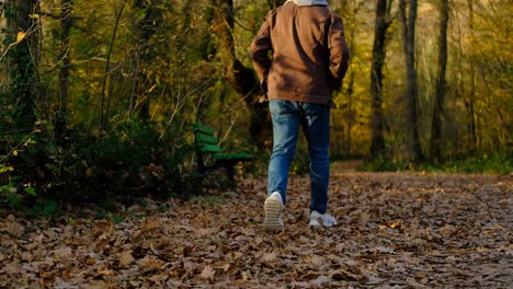 man walking autumn