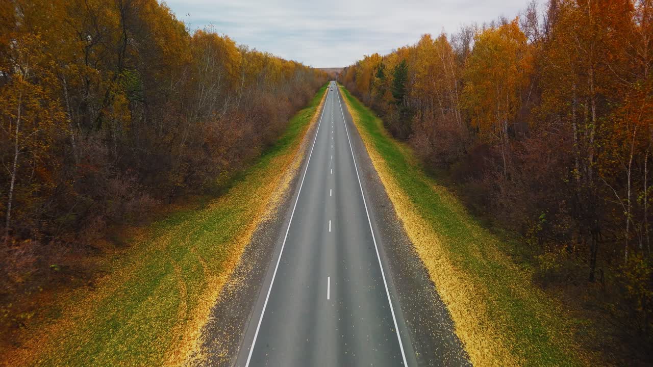 Осенняя дорога через лес