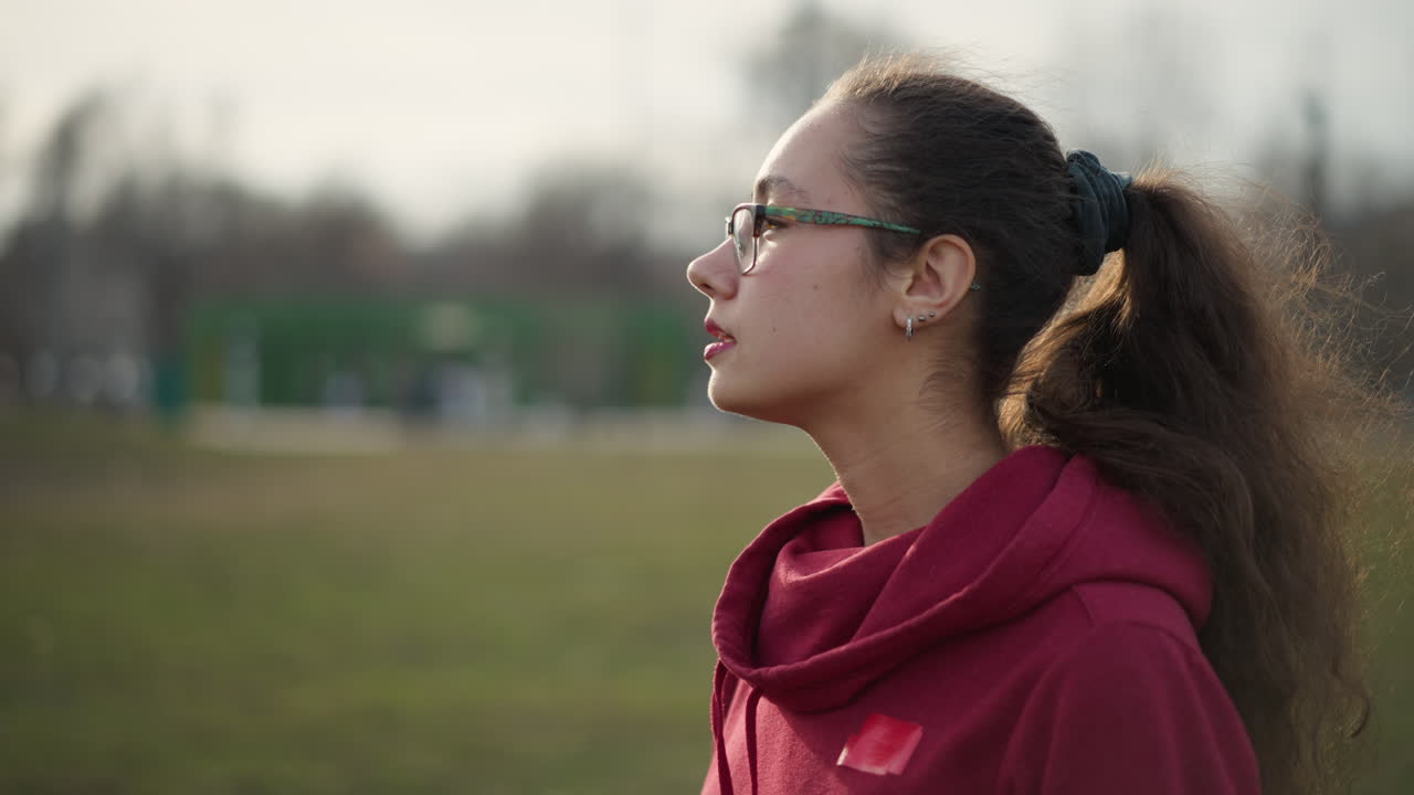 Silent Woman On Grassy Plain, Female Figure Seen From Behind Amidst Peaceful Rural Setting, Silhouetted Woman With Ponytail Gazes Across Tranquil Countryside With Distant Figures And Calm Ambiance
