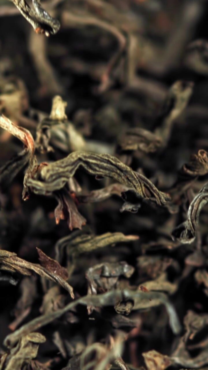 Slow Motion Tea Leaves Falling Against Black Background