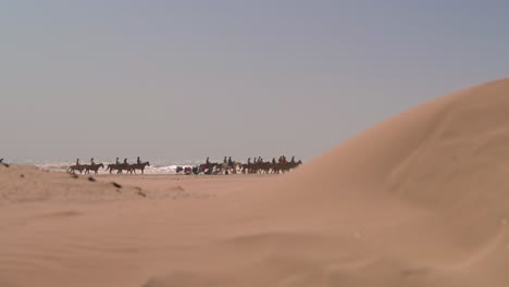 Group-of-trail-riders-on-horseback-along-Texas-coastline-waves-pan-through-sandy-beach-dunes