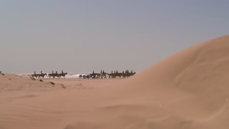 grupa jeźdźców szlakowych na koniach wzdłuż fal wybrzeża teksasu przesuwa się przez wydmy piaszczystej plaży