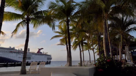 palm tree to cruise ship - smooth transition. vacation goals - destination in mexico - cozumel