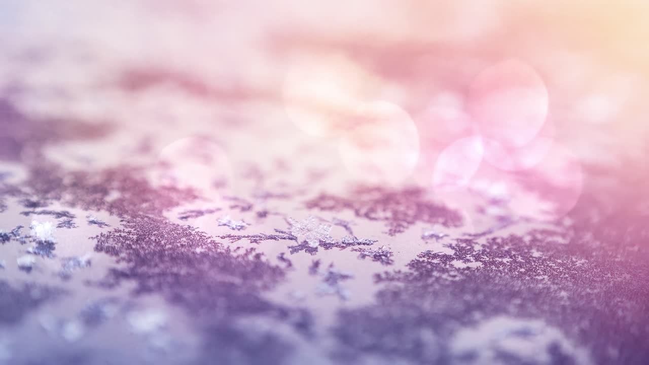 겨울에 눈과 얼음으로  ⁇ 인 건조한 잎의 활성화와 밝은 반점이 있습니다.