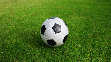 pelota de fútbol en el césped verde