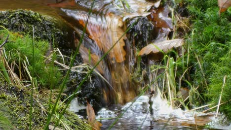 calm autumn-winter woodland, a meandering stream meanders over rocks, shaping small waterfalls