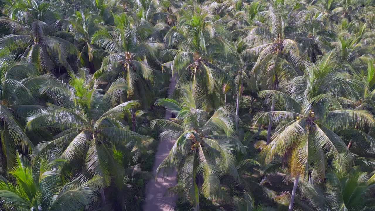 손바닥 골목에 오토바이 타기