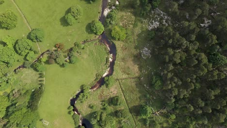 Toma-De-Un-Dron-De-Un-Río-Que-Fluye-A-Través-De-Campos-Verdes-Y-Un-Bosque