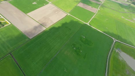 drone diving down towards grass farm fields during a sunny day