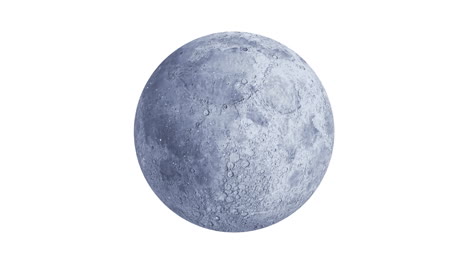 animación de nieve cayendo sobre la luna llena sobre un fondo blanco