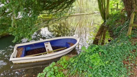 small rowing boat moored on a riverbank under a tree