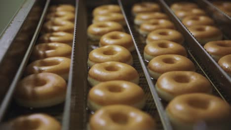 donut production line