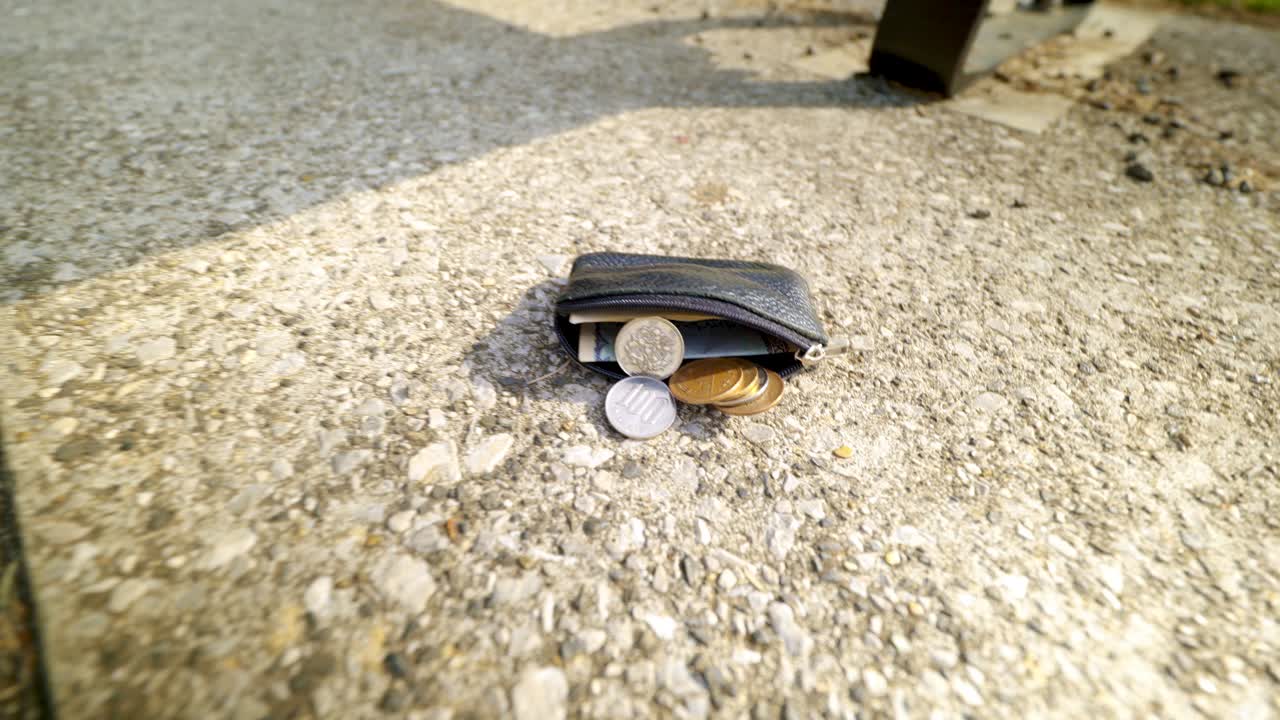 Close-Up of a Wallet on the Ground Full of Money and Coins in the Park on a Sunny Day
