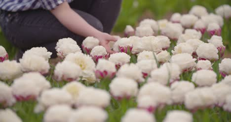 Female-Farmer-Working-On-Tulips-Field-1