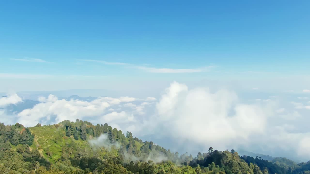 Aerial shot of Nevado de Colima’s mountain forest covered in lush green trees, with clouds drifting across the slopes and a vast sea of clouds stretching into the horizon beneath a clear sky
