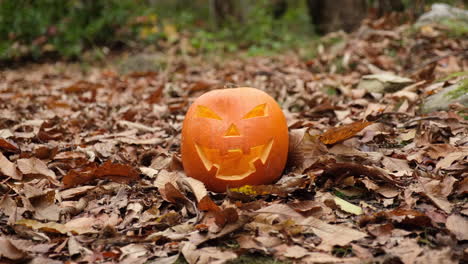 cara de calabaza sonriente de halloween brillando en el bosque de otoño