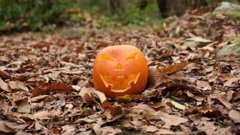 halloween grinning pumpkin face glowing in the autumn woodland