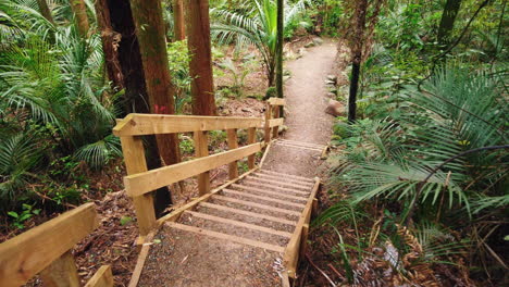 punto de vista bajando las escaleras en la pacífica selva tropical de nueva zelanda