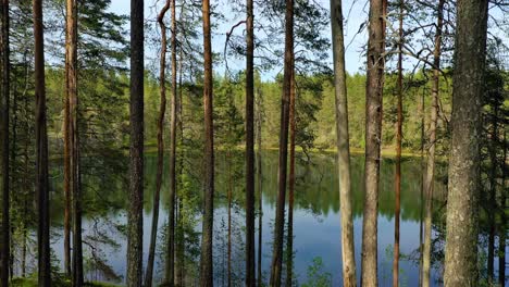 Vista-Aérea-Del-Lago-Y-El-Bosque-En-Finlandia.-Hermosa-Naturaleza-De-Finlandia.