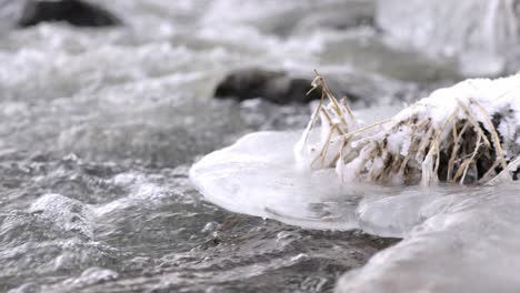 agua de primer plano en cámara lenta que fluye en el arroyo congelado, retroiluminación de hielo