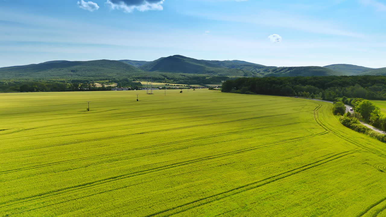 Vast green field under clear blue sky. A vast green field lies beneath a bright blue sky, framed by distant hills and fluffy clouds