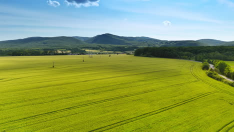 vast green field under clear blue sky. a vast green field lies beneath a bright blue sky, framed by distant hills and fluffy clouds