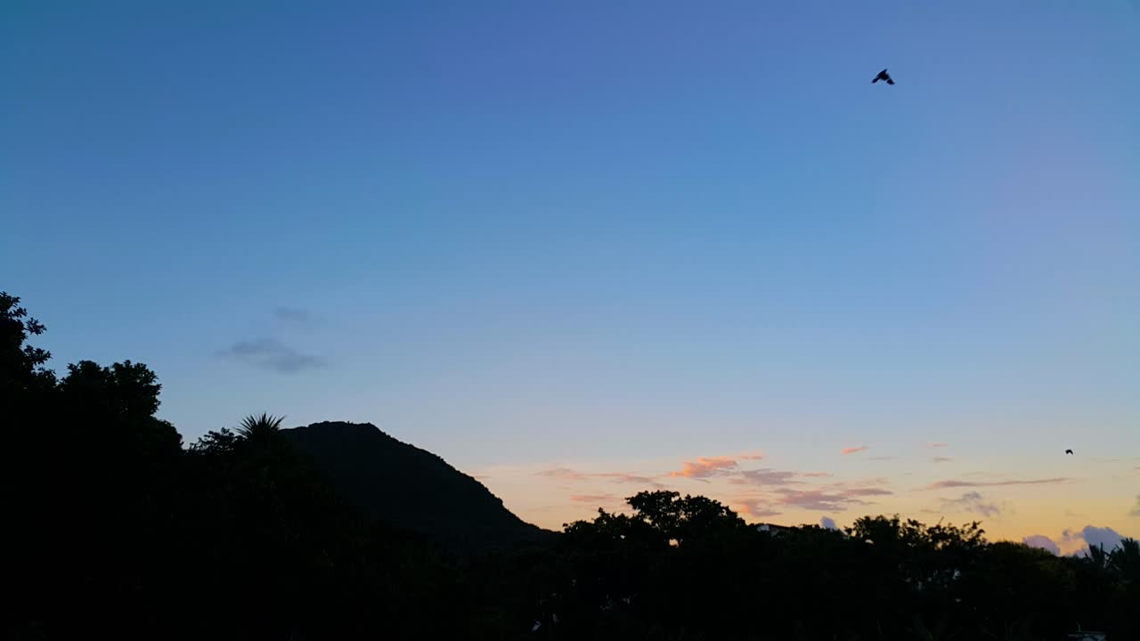 마운틴뷰 타임랩스