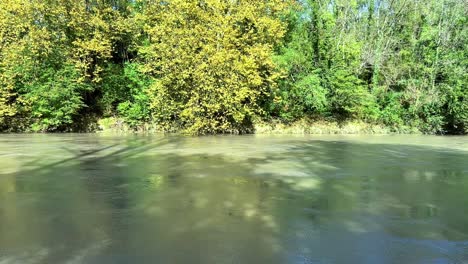 slow moving river in flood in sunlight with brightly lit trees behind.