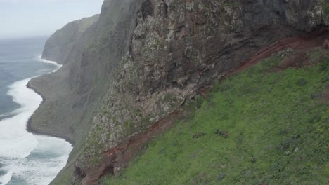 A-group-of-tourists-are-hiking-up-the-side-of-Quebrada-do-Negro-in-Madeira