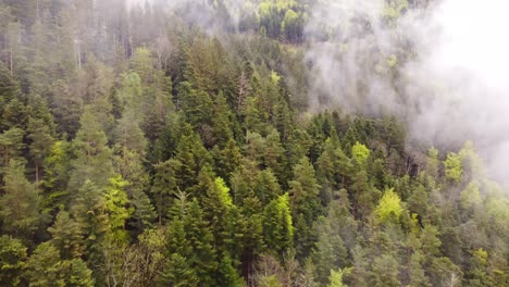 drone slow ascending fly through big clouds over a moody forest mountain valley during spring time