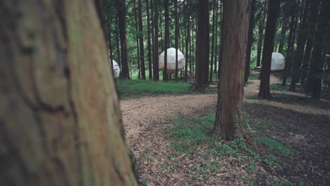 Hanging-Globe-Tents-Floats-In-The-Forest-At-The-Glamping-Site-In-The-Inn-The-Park,-Numazu,-Japan