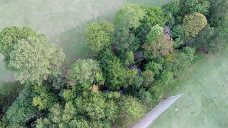 Top-down-view-of-a-golf-course,-putting-green,-sand-traps,-lush