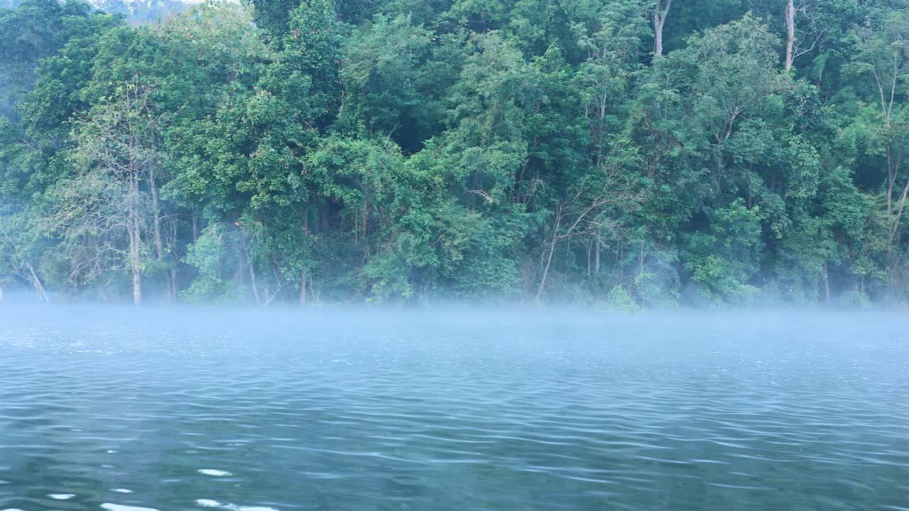 río nebuloso con un fondo de bosque verde exuberante