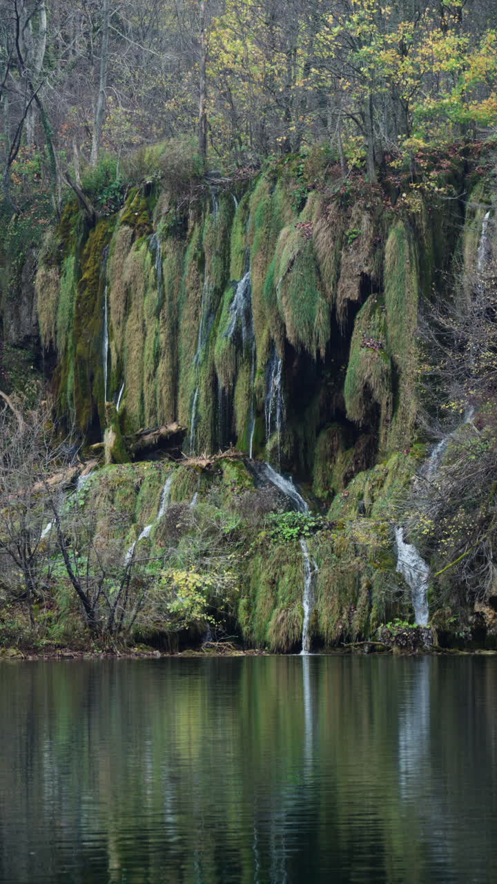 Cascate impetuose e muschio rigoglioso creano una bellezza naturale unica nel Parco Nazionale dei Laghi di Plitvice