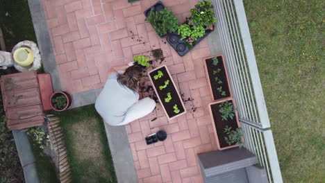 Vista-Aérea-De-Una-Chica-Caucásica-Haciendo-Jardinería-En-Casa-En-Su-Tiempo-Libre