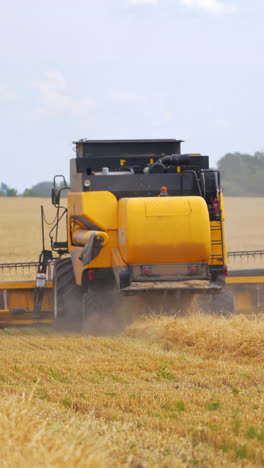 combine harvesting a ripe field. new combine harvester working on a wheat field. yellow harvester machine collecting the ears of wheat. yellow field with crop. back view. vertical video