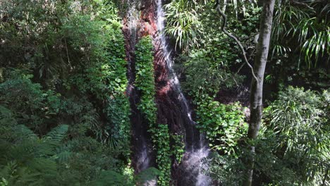 waterfall cascading through lush green rainforest