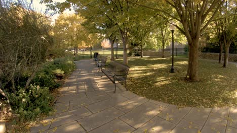 walking along a path in a park during autumn with animated leaves falling slowly to the ground