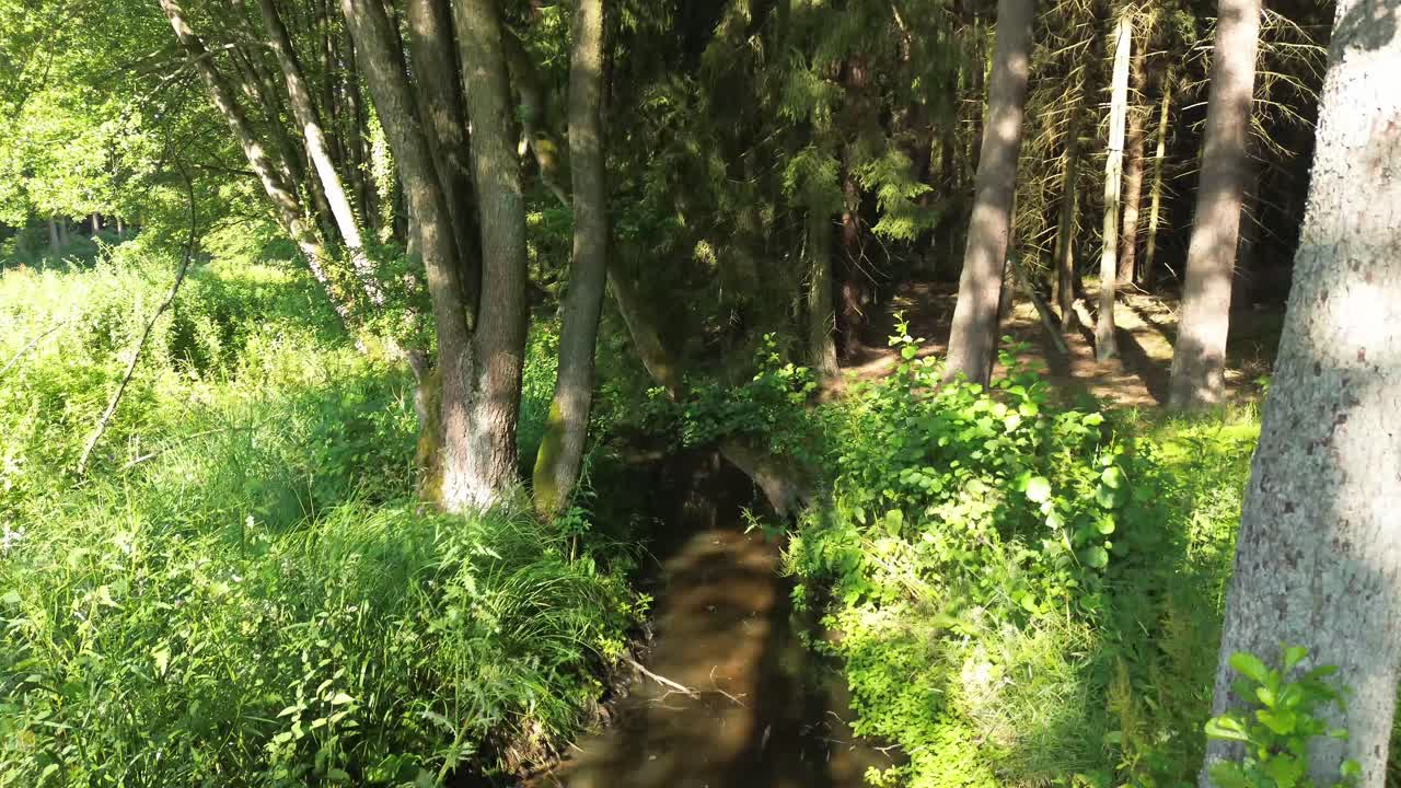 드론은 유럽의 새벽에 밝은 호수를 우아하게 탐험하며 조용한 호수, 울창한 숲, 그리고 거리는 하천을 가로지르는 우아한 다리를 드러니다.