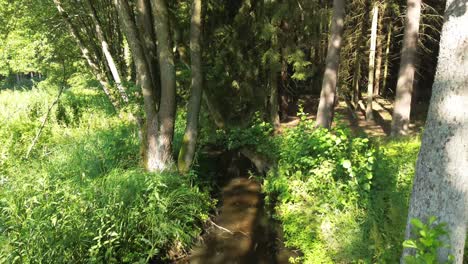"el dron explora con gracia el lago iluminado por el amanecer de europa, revelando una tranquila laguna, un bosque exuberante y un elegante puente sobre un arroyo balbuceante... una cautivadora vista de pájaro y una vista panorámica desde el cielo