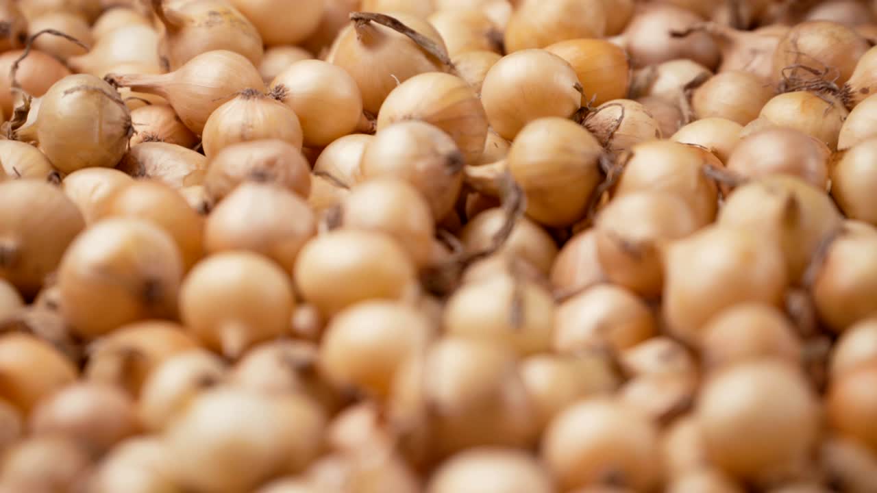 el fondo de rotación de las cebollas blancas