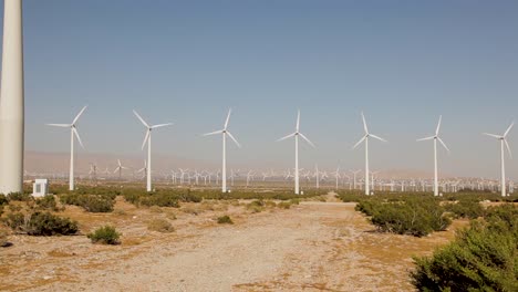 Landschaft-Landschaft-Von-Windmühlen,-Die-Zusammen-Laufen